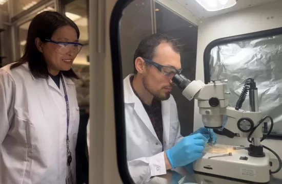 NYUAD Professor of Biology Dan Ohtan Wang with Research Associate Belal Shohayeb