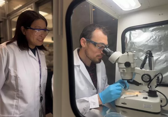NYUAD Professor of Biology Dan Ohtan Wang with Research Associate Belal Shohayeb