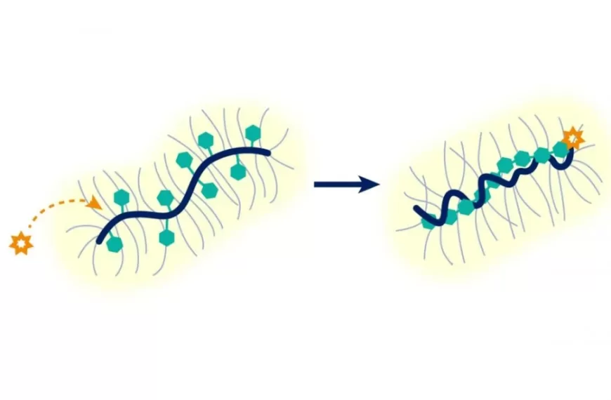 A small reaction space has a big impact on polymer chemistry