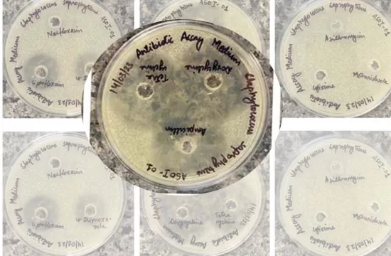 resistance bacteria 1