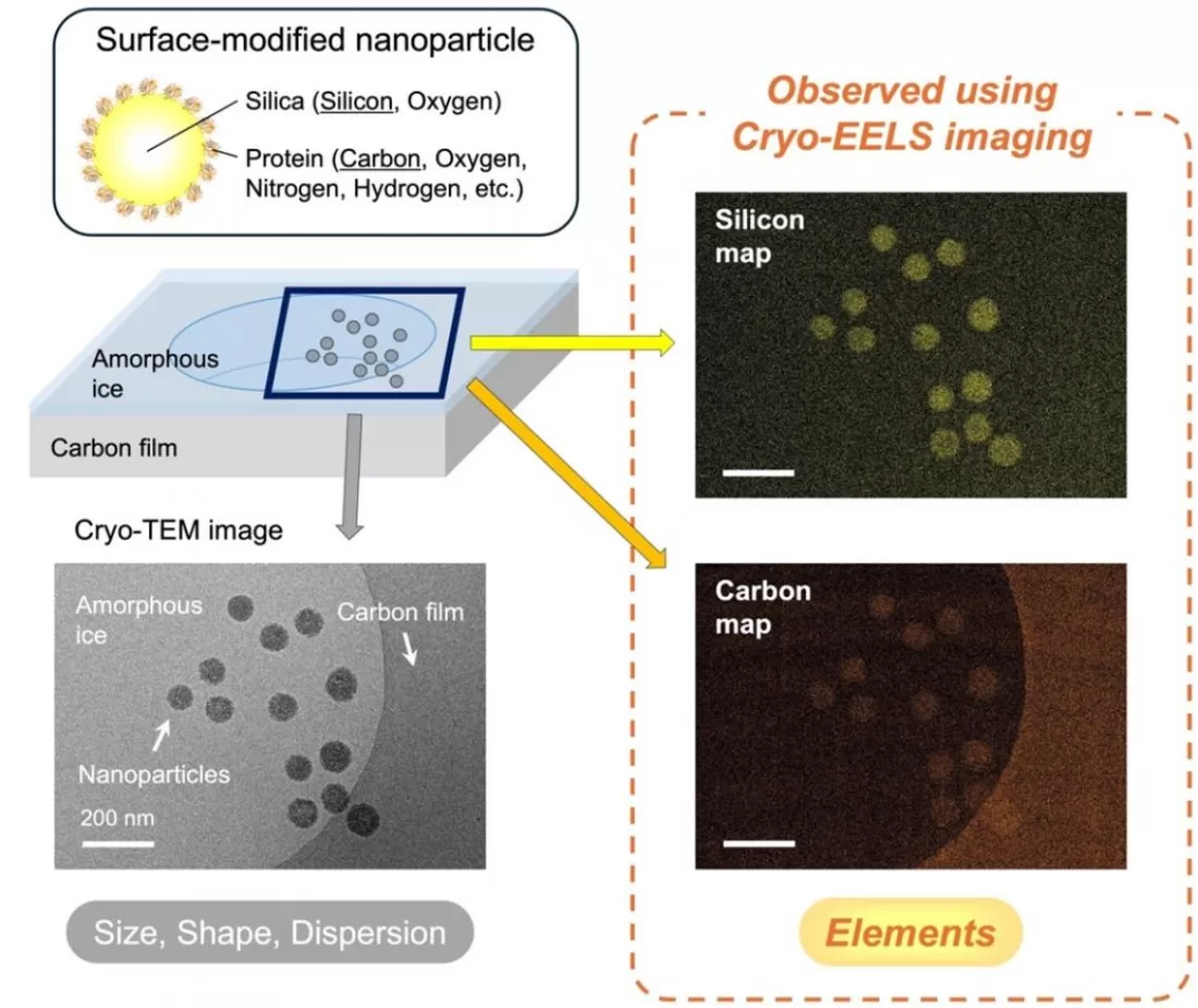 Elemental Mapping of Surface