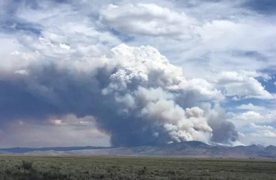 Loyalton Fire from near Calpine