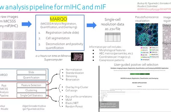 Mount Sinai scientists create AI-powered tool to improve cancer tissue analysis