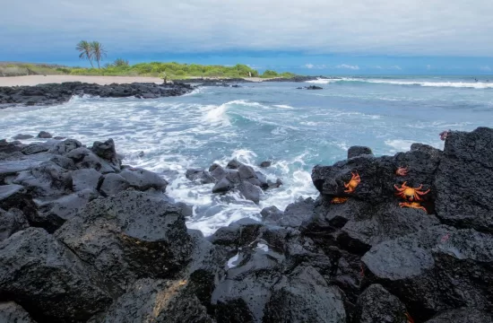 Microplastics in Galapagos Islands