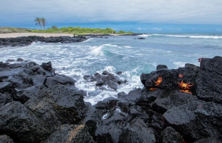 Microplastics in Galapagos Islands
