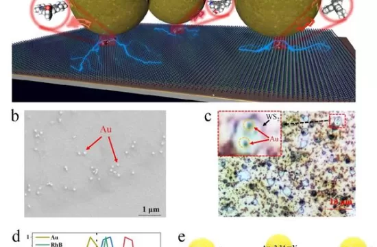 SM SERS substrate