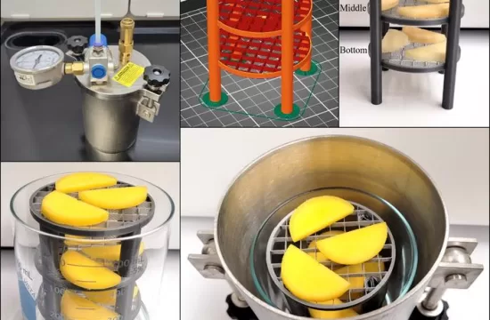 dehydrated fruit water img1