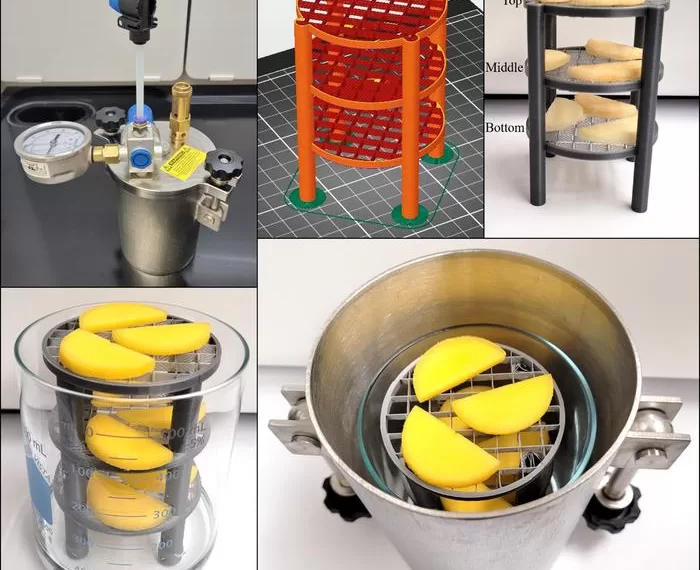 New Room-Temperature Drying Method Promises Energy-Efficient Fruit Preservation