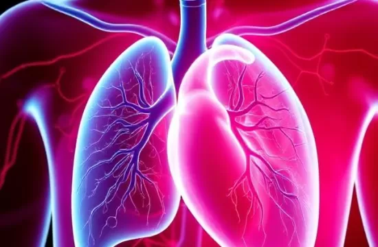 heart lung interactions