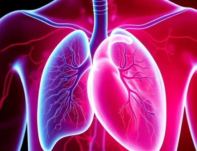heart lung interactions