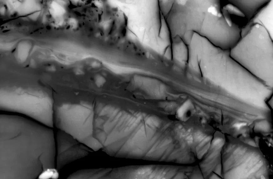 MIT geologists discover where energy goes during an earthquake 