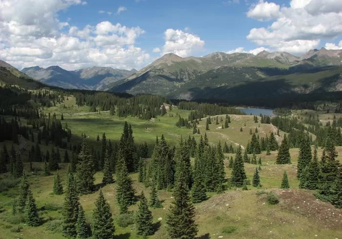 colorado Keith Sockman Research Site