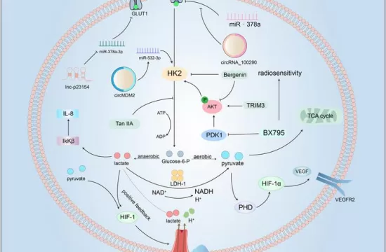 glucose metabolism