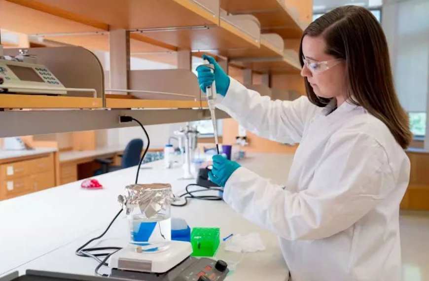 Engineers create hydrogels to monitor activity in the body