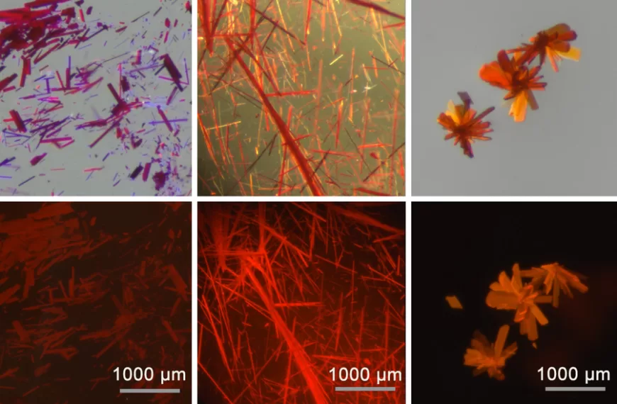 Chemists create red fluorescent dyes that may enable clearer biomedical imagingdyes