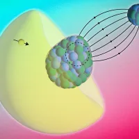 MIT Nuclear Magnetism 01 press 0