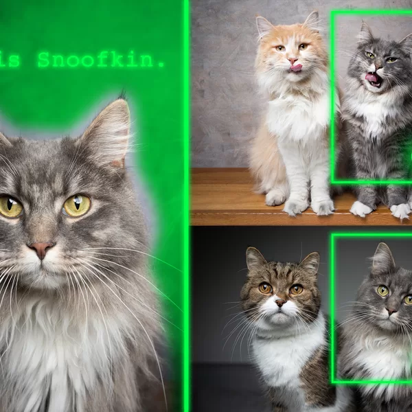 Method teaches generative AI models to locate personalized objects