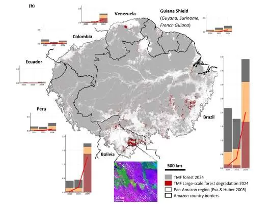 amazon rainforest graph1