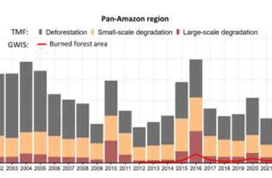 amazon rainroferst fire research