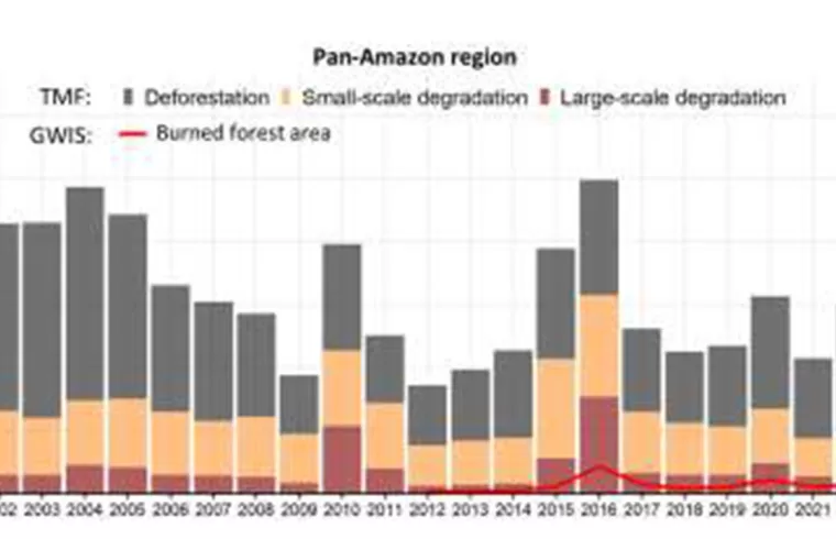 amazon rainroferst fire research