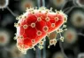 nanoparticles