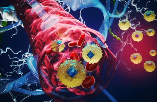 MIT Biolelectric Implant 01 press 0