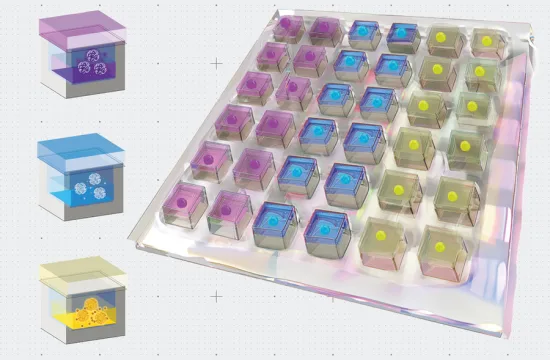 A new patch could help to heal the heart 4 MIT Heart Patch 01 press 0