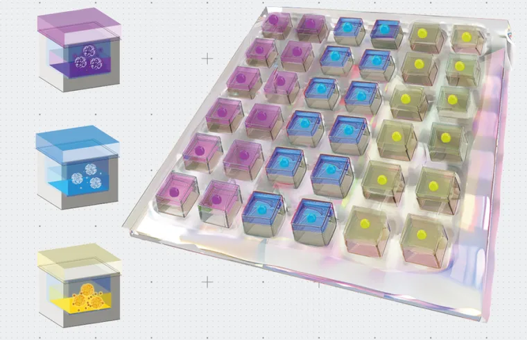 MIT Heart Patch 01 press 0