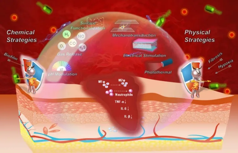 illustratration of wound healing