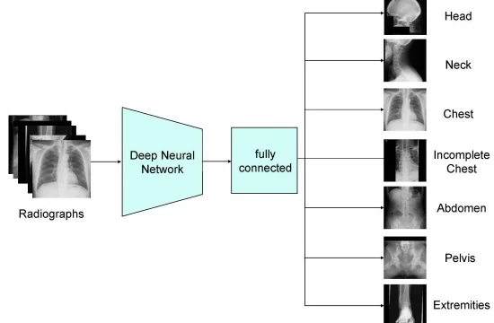Automatic label checking: The missing step in making reliable medical AI 3 EN Graphic 1