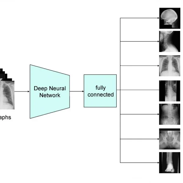Blog 20 Automatic label checking: The missing step in making reliable medical AI
