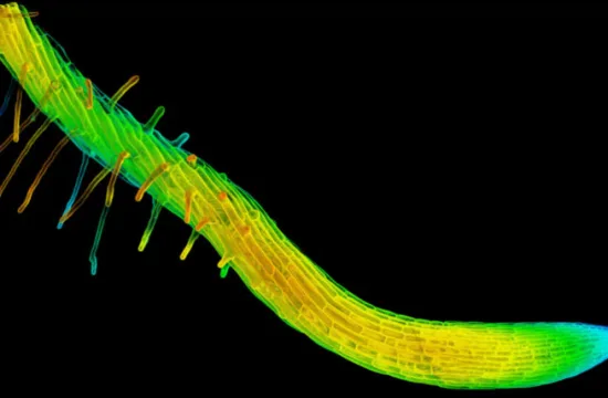 Featured image suggestion copy 760x428 1