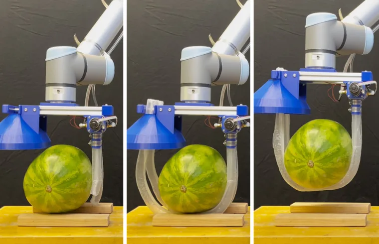 MIT VineRobot 01 press 0