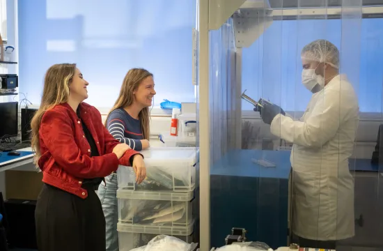 Cosmic trip could help bacteria protect future space missions from radiation 3 Pigmented Space Pioneers 1 1