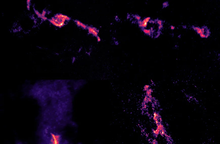 Super Massive Black Holes May Be Picky Eaters