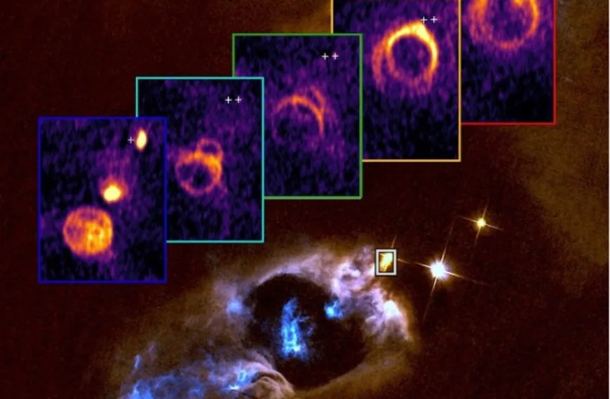 ALMA and NSF VLA Reveal&hellip;