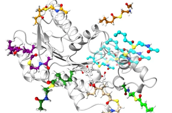 322 study sheds light on the function of a key antibioticproducing enzyme fig1