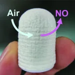 ARN26 review STAM Dr Ishihara client image CMYK 300