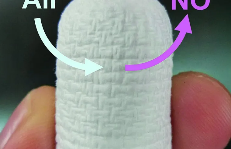 ARN26 review STAM Dr Ishihara client image CMYK 300