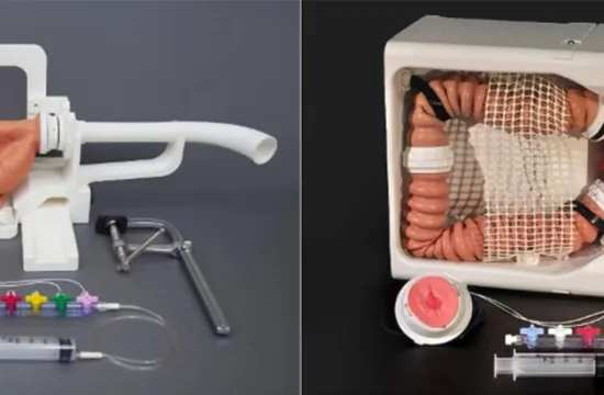 Appearance of the Simulator