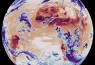 Global surface and cloud top temperatures by MTG Sounder article 1
