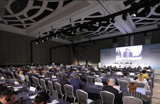 irena assembly