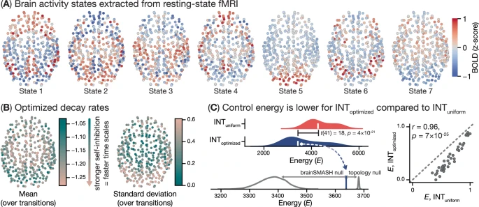 Rutgers study links brain’s wiring to differences in cognitive ability 3 spatal topography of seven empirically derived brain states