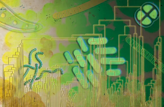 MIT Aerobic Firsts 01 press 0