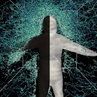 MIT MosquitoFlight 01 press 0