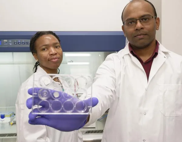 Blog 20 3D printing could change how cancer drugs reach tumors