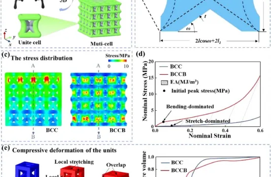 Bio-Inspired Structural Design Improves Impact Resistance and Energy Absorption 3 Picture1 17