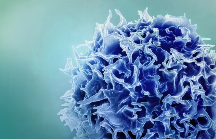 MIT Immune remodeling Tcell 01 press 0 1