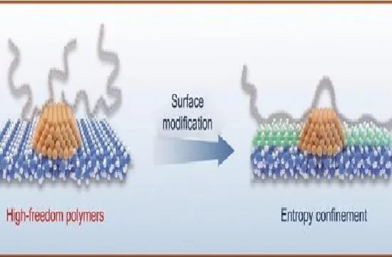 illustration of the entropy confinement effect
