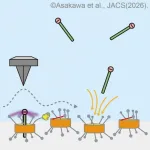 macrocyclic host molecules